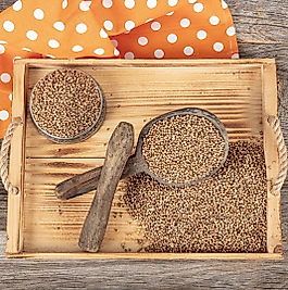KİŞNİŞ 100 GRAM