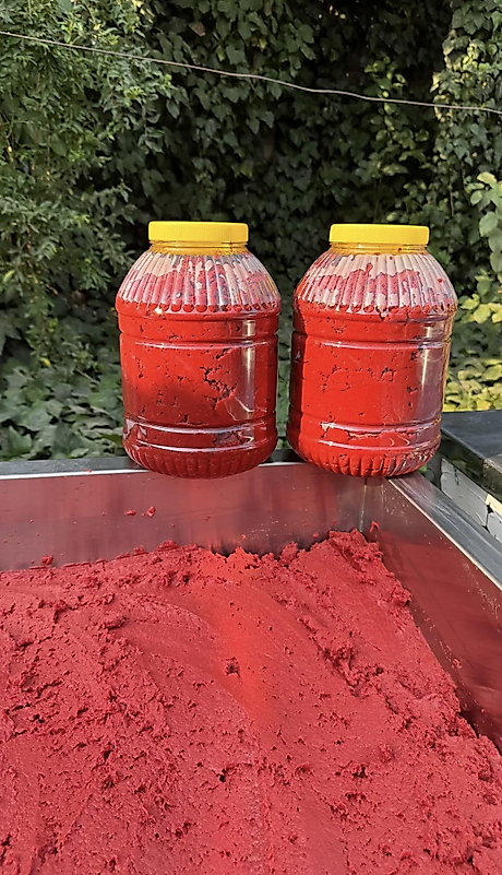 5 kg domates salçası