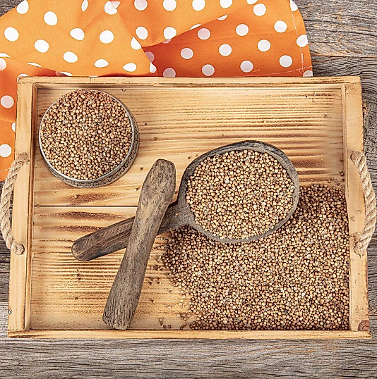 KİŞNİŞ 100 GRAM