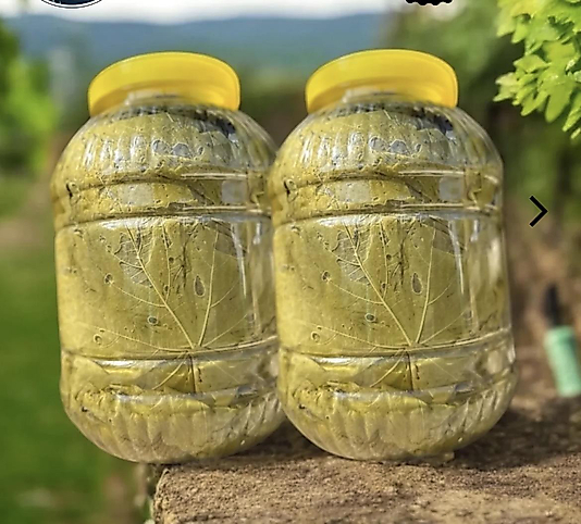 Asma yaprağı beşlik bidon net 3 kg