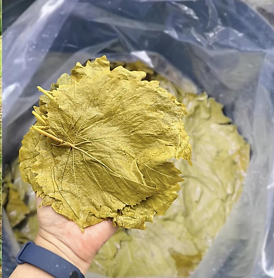 Asma yaprağı 10 kg kovada